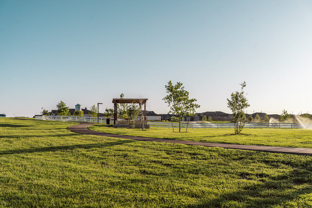 Harvest Park Sprinklers at Sunset