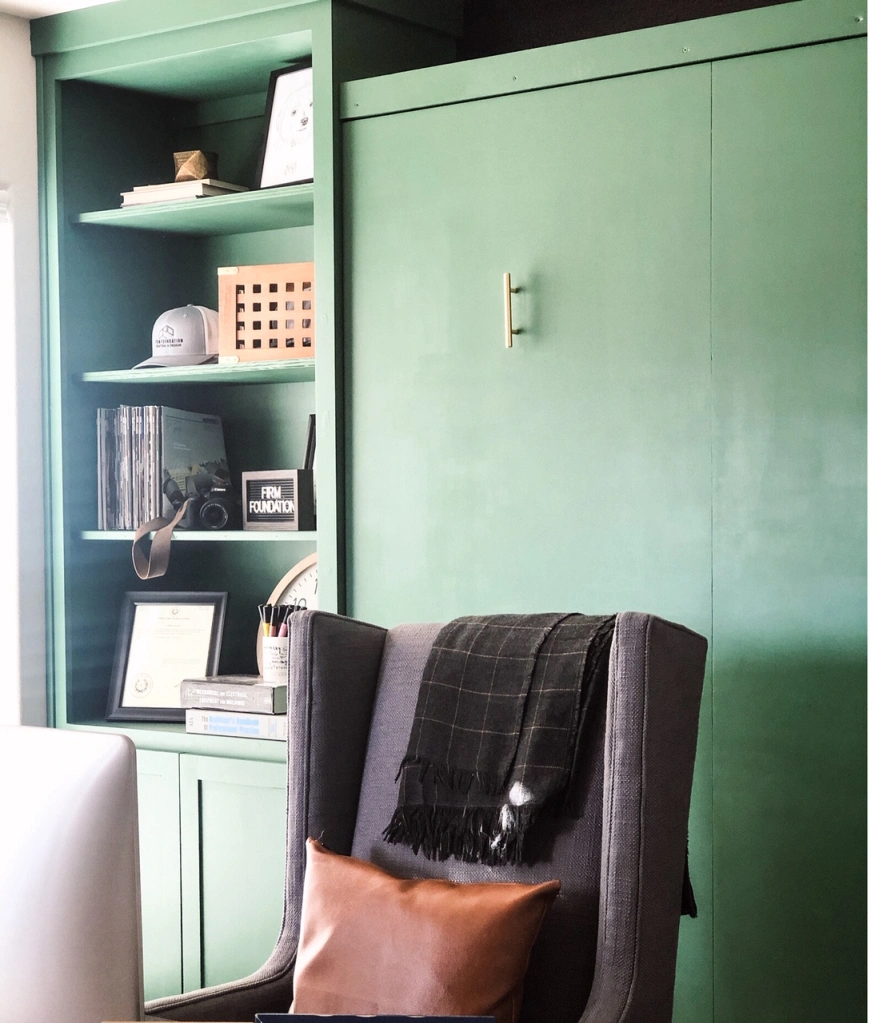 Photo of a Murphy bed folded up to look like a closet and bookshelves in a multi-purpose room.